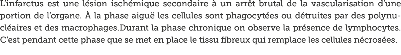 L infarctus est une l sion isch mique secondaire   un arr t brutal de la vascularisation d une portion de l organe      