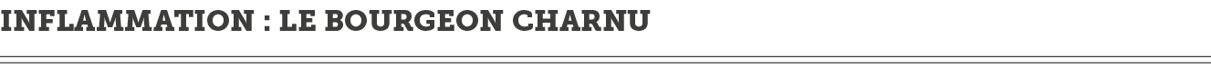 Inflammation   le bourgeon charnu